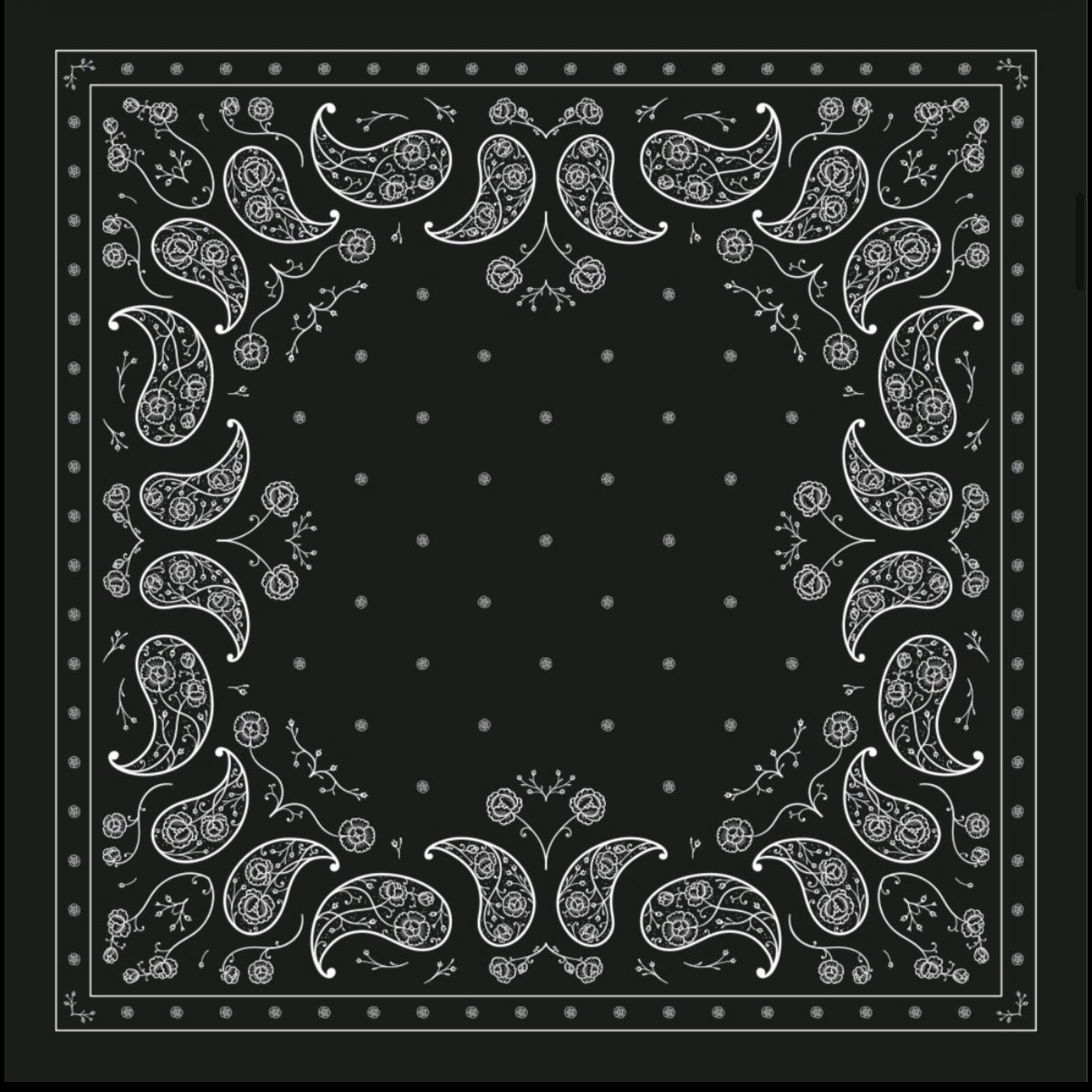 Midnight Paisley