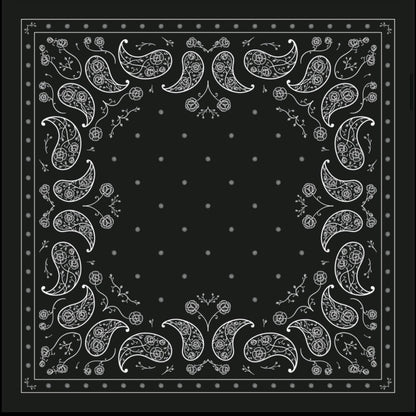 Midnight Paisley