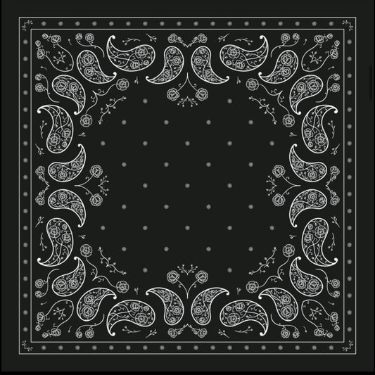 Midnight Paisley