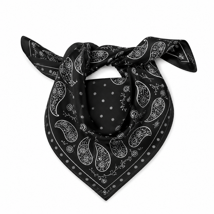 Midnight Paisley